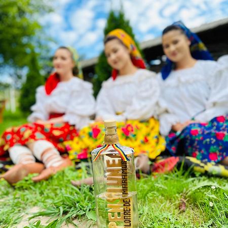 Floare De Maramures 1 Vadu Izei Exterior foto