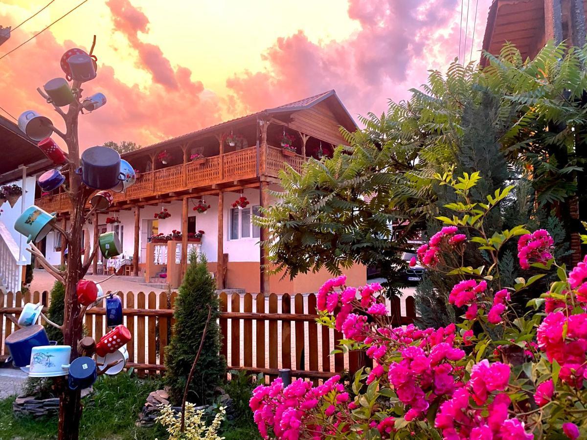 Floare De Maramures 1 Vadu Izei Exterior foto