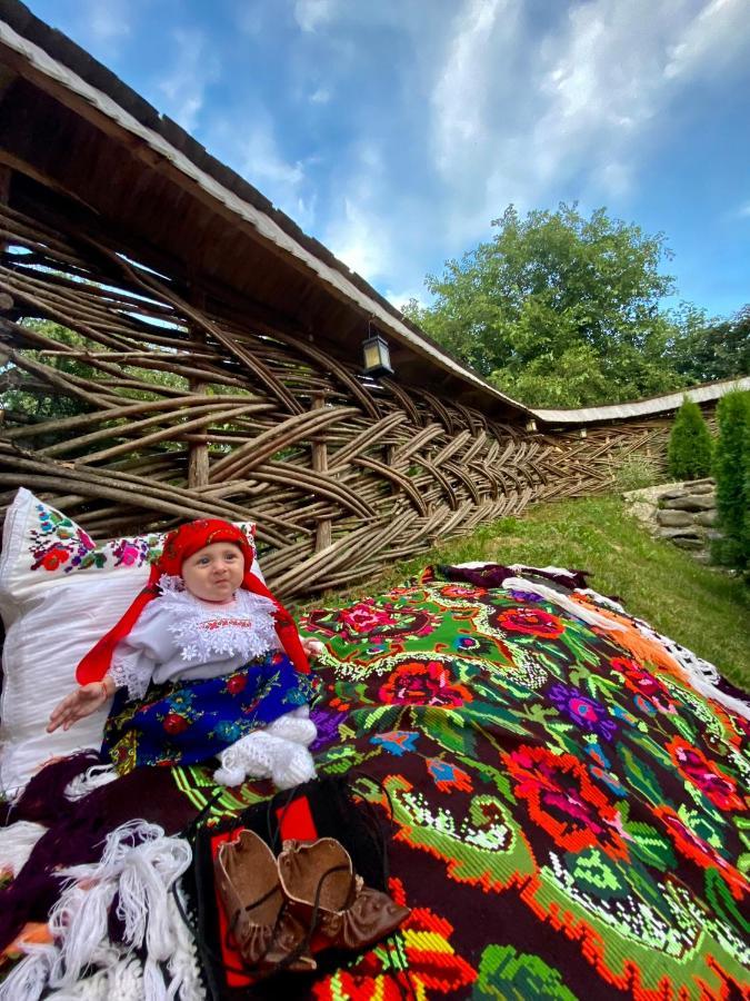 Floare De Maramures 1 Vadu Izei Exterior foto