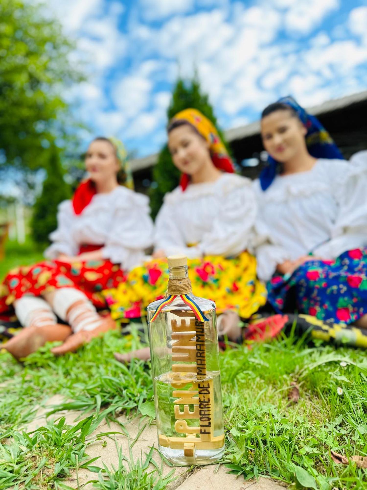 Floare De Maramures 1 Vadu Izei Exterior foto