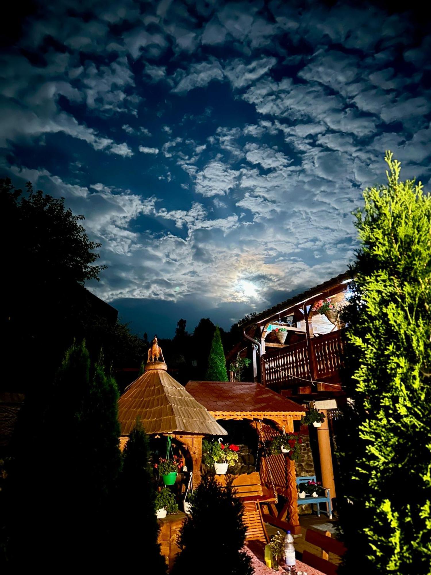 Floare De Maramures 1 Vadu Izei Exterior foto